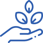 BioThermal Therapy by Indiba